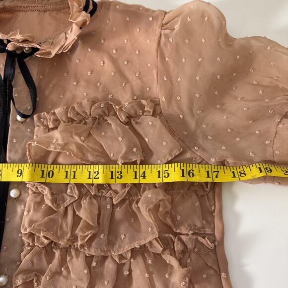 Blush Sheer Swiss Dot Ruffle Chiffon Blouse Puff Sleeve Mock Neck Victorian Sm - Picture 6 of 7